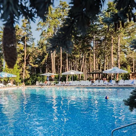 Dvoretsa Hotel 5*
