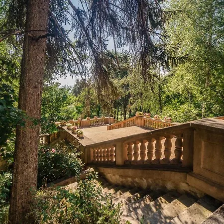 Hotel Dvoretsa 5*
