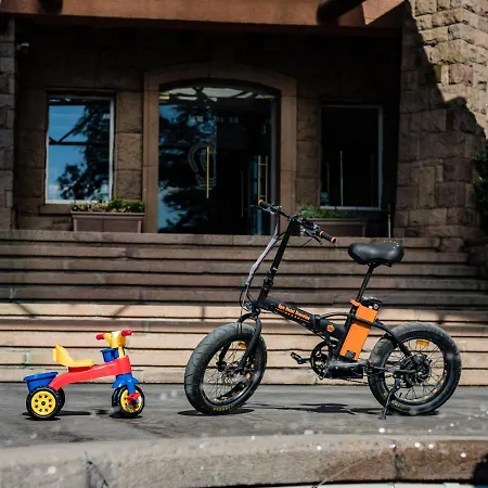 Dvoretsa 5* Βέλινγκραντ