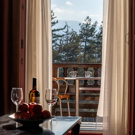 Dvoretsa 5* Welingrad