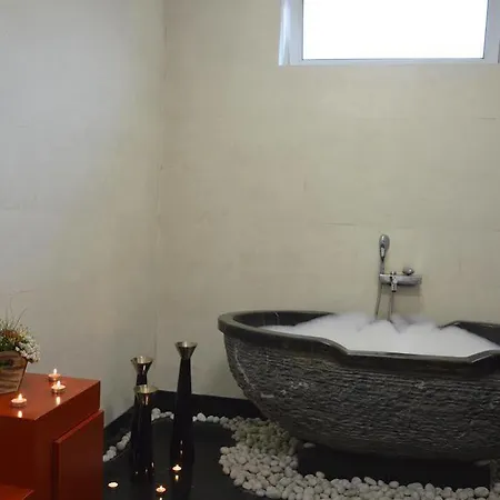 Hotel Dvoretsa